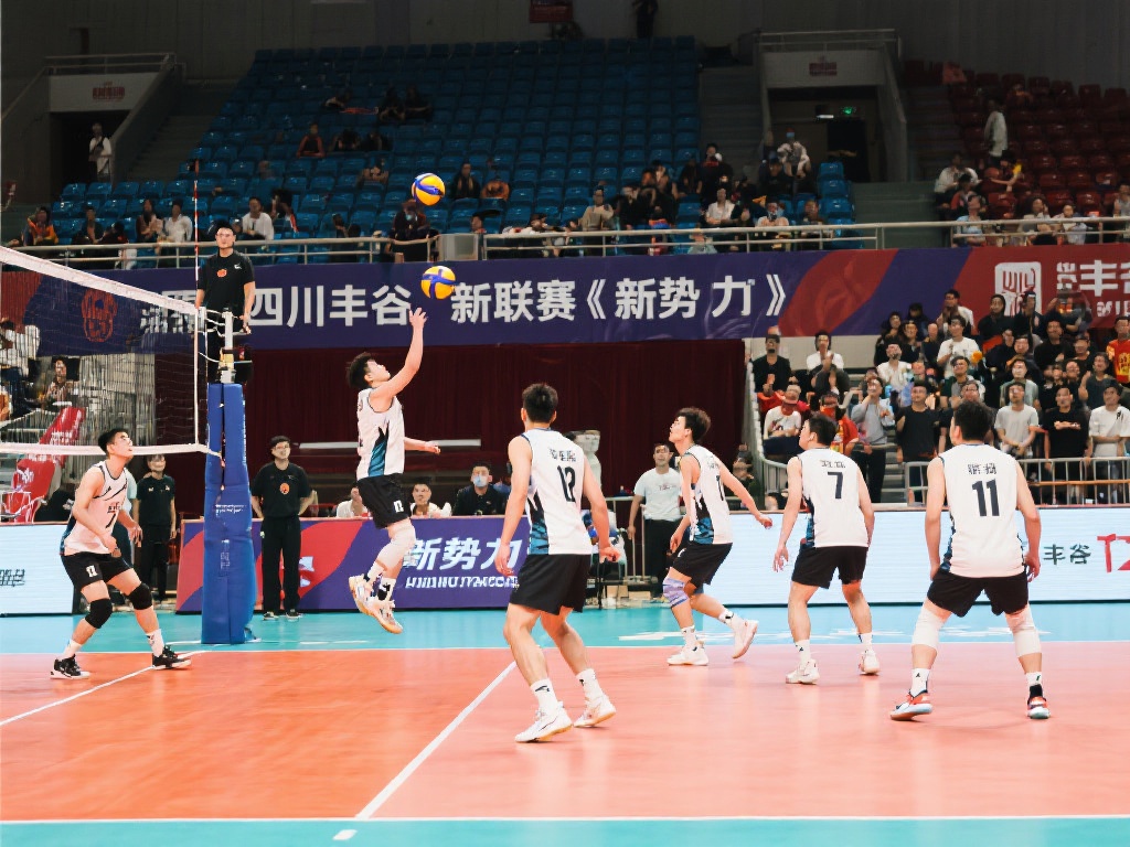 可以从几个 可以从几个